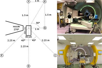 Simulation and experimental verification of ambient neutron doses in a pencil beam scanning proton therapy room as a function of treatment plan parameters